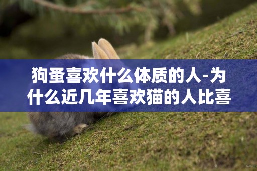 狗蚤喜歡什么體質的人-為什么近幾年喜歡貓的人比喜歡狗的人多