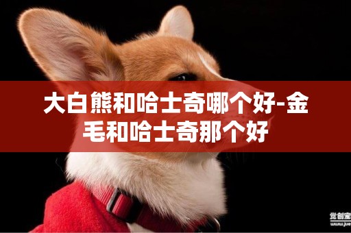 大白熊和哈士奇哪個好-金毛和哈士奇那個好