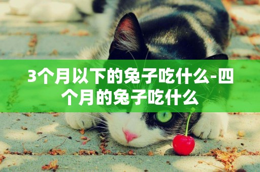 3個月以下的兔子吃什么-四個月的兔子吃什么