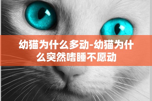 幼貓為什么多動-幼貓為什么突然嗜睡不愿動