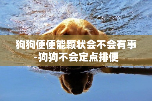 狗狗便便能顆狀會不會有事-狗狗不會定點排便