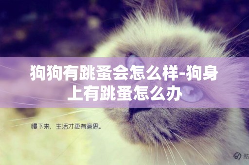 狗狗有跳蚤會怎么樣-狗身上有跳蚤怎么辦