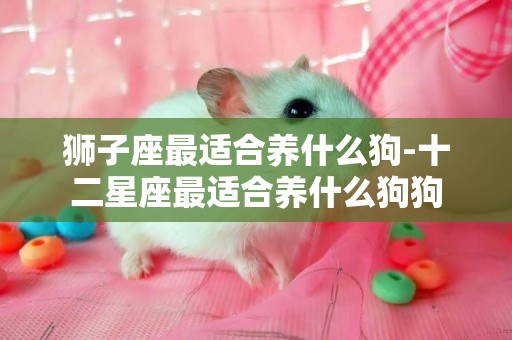 獅子座最適合養什么狗-十二星座最適合養什么狗狗