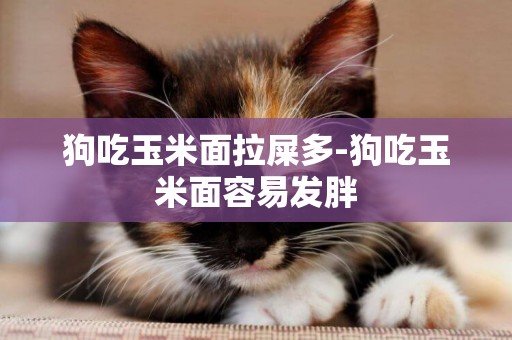 狗吃玉米面拉屎多-狗吃玉米面容易發胖