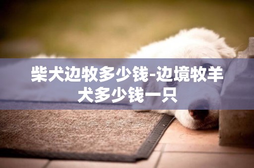 柴犬邊牧多少錢-邊境牧羊犬多少錢一只