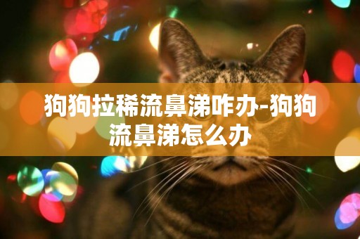 狗狗拉稀流鼻涕咋辦-狗狗流鼻涕怎么辦