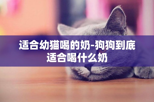 適合幼貓喝的奶-狗狗到底適合喝什么奶