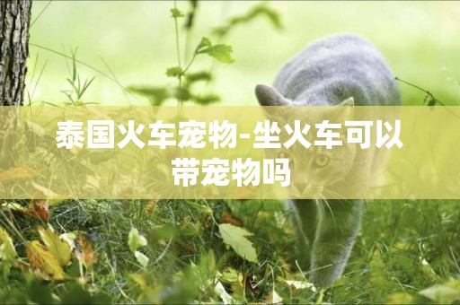 泰國火車寵物-坐火車可以帶寵物嗎