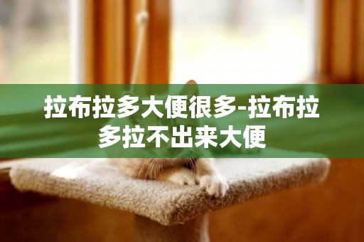 拉布拉多大便很多-拉布拉多拉不出來大便