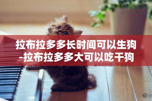 拉布拉多多長時間可以生狗-拉布拉多多大可以吃干狗糧