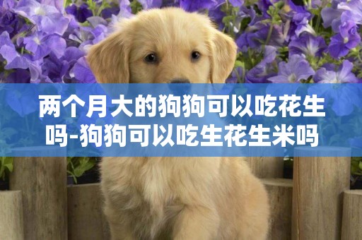 兩個月大的狗狗可以吃花生嗎-狗狗可以吃生花生米嗎