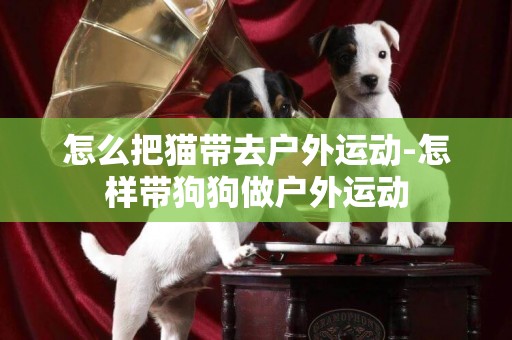 怎么把貓帶去戶外運動-怎樣帶狗狗做戶外運動