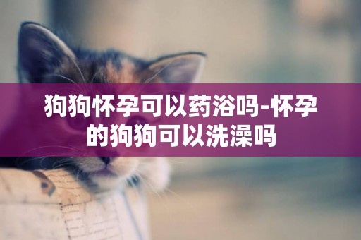 狗狗懷孕可以藥浴嗎-懷孕的狗狗可以洗澡嗎