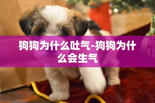 狗狗為什么吐氣-狗狗為什么會生氣