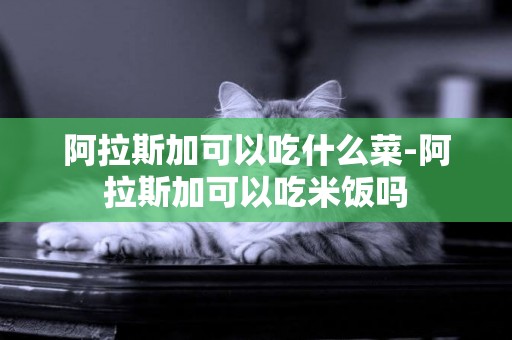 阿拉斯加可以吃什么菜-阿拉斯加可以吃米飯嗎