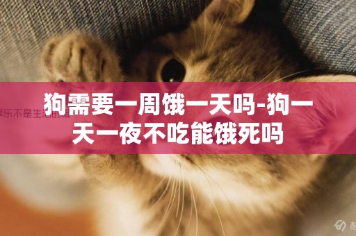 狗需要一周餓一天嗎-狗一天一夜不吃能餓死嗎