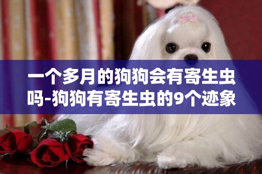 一個多月的狗狗會有寄生蟲嗎-狗狗有寄生蟲的9個跡象