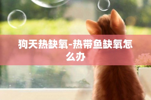 狗天熱缺氧-熱帶魚缺氧怎么辦