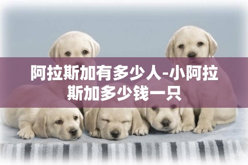 阿拉斯加有多少人-小阿拉斯加多少錢一只
