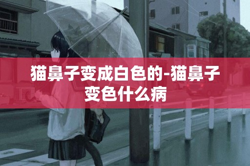 貓鼻子變成白色的-貓鼻子變色什么病