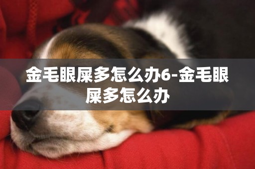 金毛眼屎多怎么辦6-金毛眼屎多怎么辦