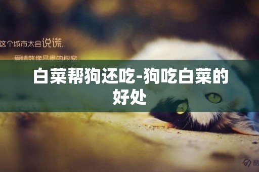 白菜幫狗還吃-狗吃白菜的好處