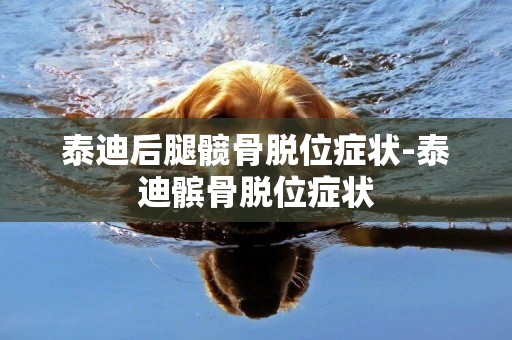 泰迪后腿髖骨脫位癥狀-泰迪髕骨脫位癥狀