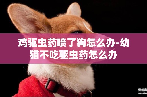 雞驅蟲藥噴了狗怎么辦-幼貓不吃驅蟲藥怎么辦