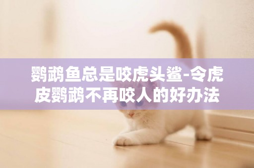 鸚鵡魚總是咬虎頭鯊-令虎皮鸚鵡不再咬人的好辦法