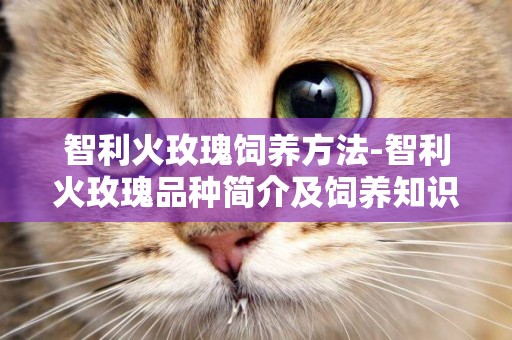 智利火玫瑰飼養方法-智利火玫瑰品種簡介及飼養知識