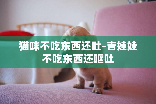 貓咪不吃東西還吐-吉娃娃不吃東西還嘔吐