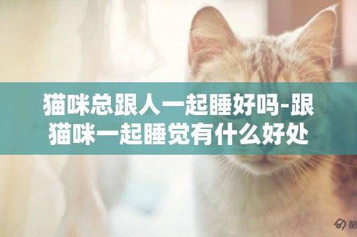 貓咪總跟人一起睡好嗎-跟貓咪一起睡覺有什么好處