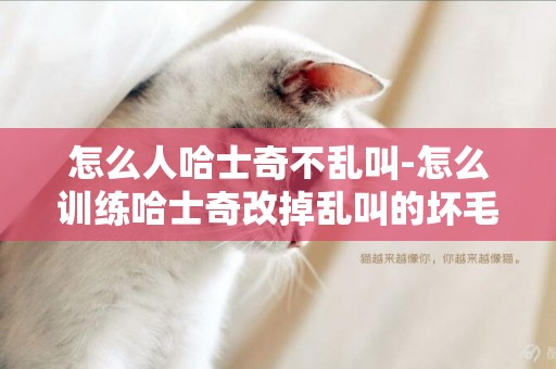 怎么人哈士奇不亂叫-怎么訓練哈士奇改掉亂叫的壞毛病