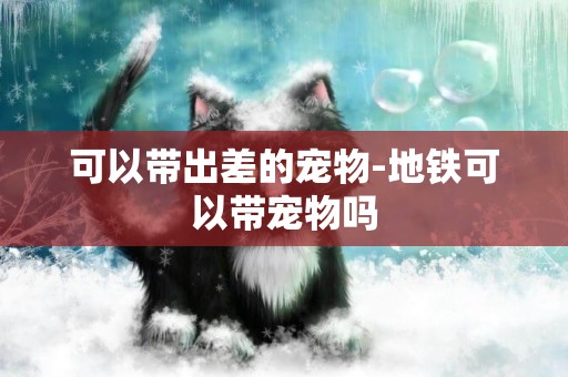 可以帶出差的寵物-地鐵可以帶寵物嗎