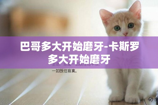 巴哥多大開始磨牙-卡斯羅多大開始磨牙