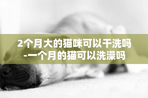 2個月大的貓咪可以干洗嗎-一個月的貓可以洗澡嗎