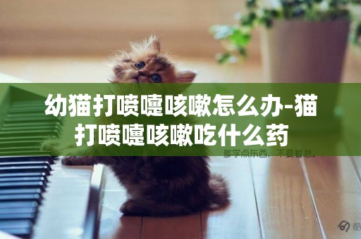 幼貓打噴嚏咳嗽怎么辦-貓打噴嚏咳嗽吃什么藥