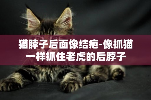 貓脖子后面像結疤-像抓貓一樣抓住老虎的后脖子