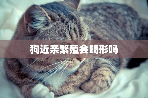 狗近親繁殖會畸形嗎