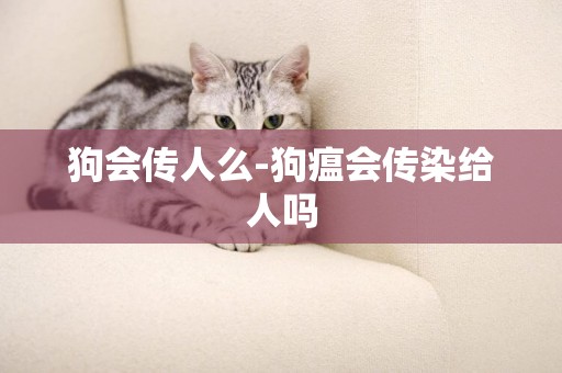 狗會傳人么-狗瘟會傳染給人嗎