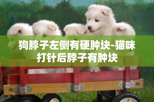 狗脖子左側有硬腫塊-貓咪打針后脖子有腫塊