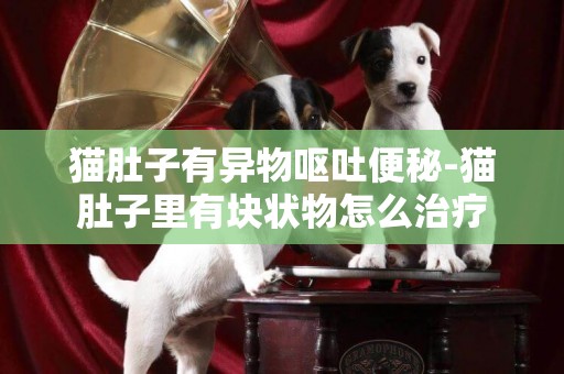 貓肚子有異物嘔吐便秘-貓肚子里有塊狀物怎么治療