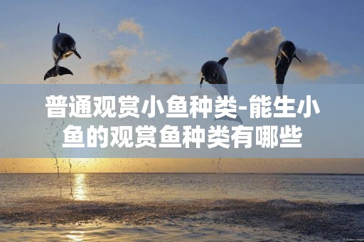 普通觀賞小魚種類-能生小魚的觀賞魚種類有哪些