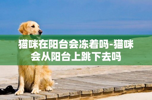 貓咪在陽臺會凍著嗎-貓咪會從陽臺上跳下去嗎
