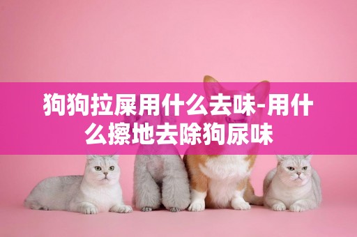 狗狗拉屎用什么去味-用什么擦地去除狗尿味