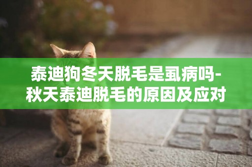 泰迪狗冬天脫毛是虱病嗎-秋天泰迪脫毛的原因及應對方法