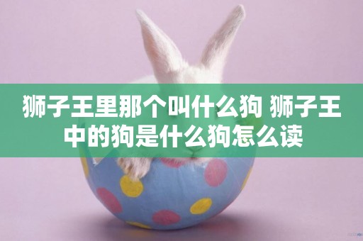 獅子王里那個叫什么狗 獅子王中的狗是什么狗怎么讀