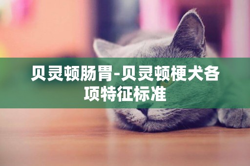 貝靈頓腸胃-貝靈頓梗犬各項特征標準