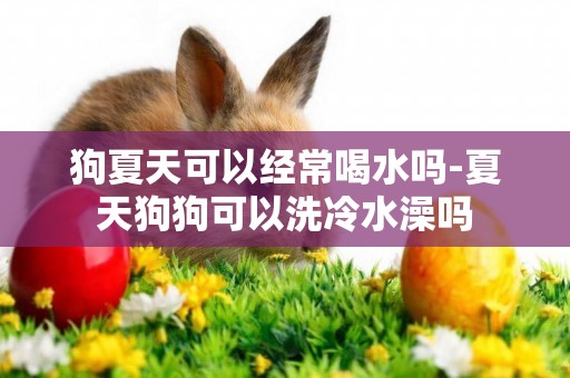 狗夏天可以經常喝水嗎-夏天狗狗可以洗冷水澡嗎