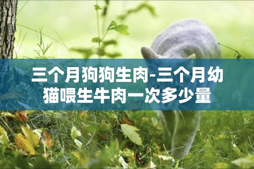 三個月狗狗生肉-三個月幼貓喂生牛肉一次多少量